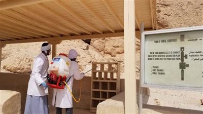 تطهير الفراعنة