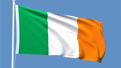 انتخابات مبكرة في أيرلندا