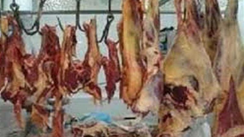 ضبط 611 كيلو لحوم