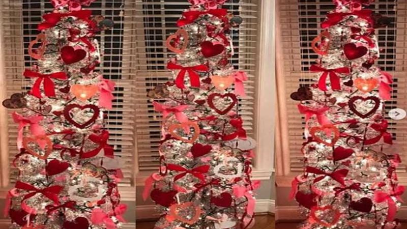 إعادة تدوير شجرة