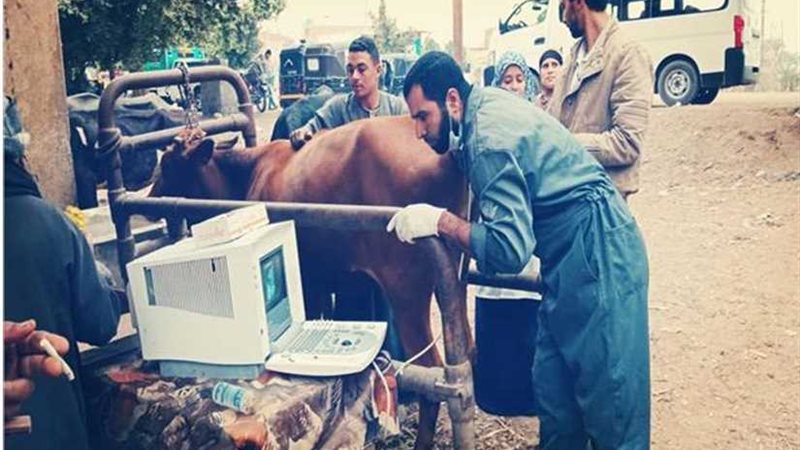 قافلة بيطرية مجانية