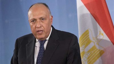 شكري يجري اتصالين هاتفيين مع نظيريه اليوناني والإيطالي