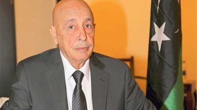 البرلمان الليبي: سنستعين بالعرب حال التدخل التركي لاحتلال ليبيا