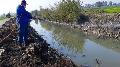 بالصور: إستمرار النشاط المكثف لمكافحة الذباب وناقلات الأمراض بالشرقية