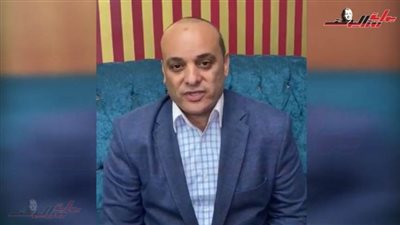 بالفيديو .. برلمانى يتضامن مع حملة 