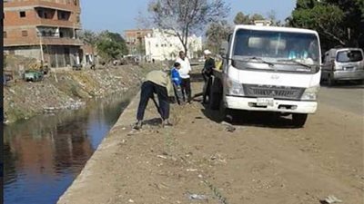 زراعة 110 أشجار زيتون بشوارع قرية 