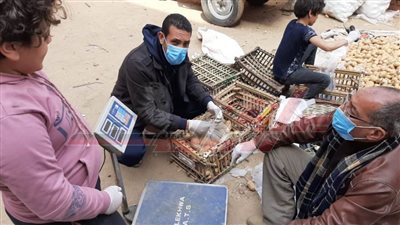 مبادرات شبابية لبيع السلع بأسعار مخفضة بالقليوبية