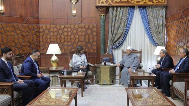 الإمام الأكبر: حماية