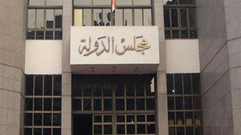 18 يناير نظر دعوى