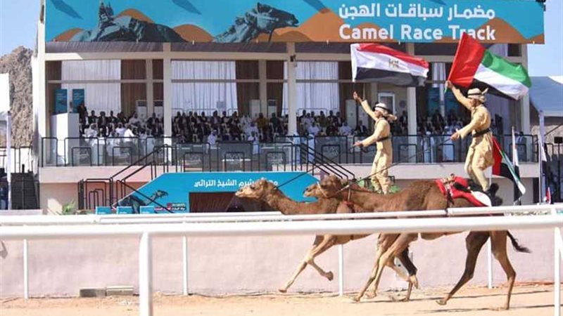 السيسي وبن زايد يشهدان