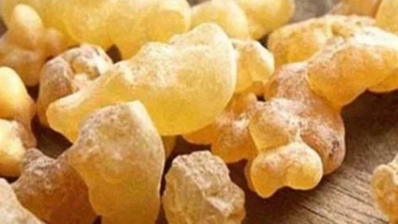 لبان الدكر بديل طبيعي