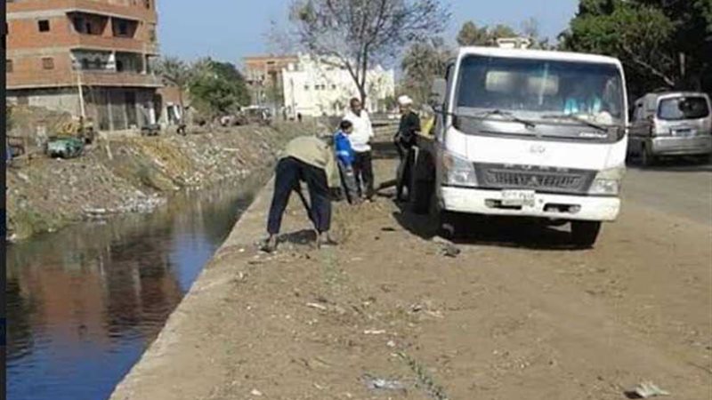 زراعة 110 أشجار زيتون