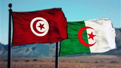 تونس والجزائر تبحثان سبل تفعيل اللجنة الأمنية المشتركة
