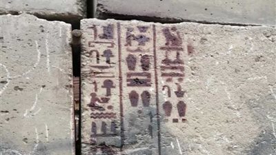 جامعة حلوان تشارك في موكب نقل المومياوات الملكية لمتحف الحضارة