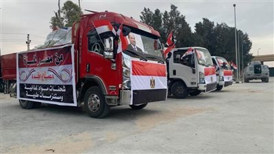 عاجل.. «الهلال الأحمر المصري» يُقدم مستلزمات طبية وإنسانية للفلسطينيين بغزة 