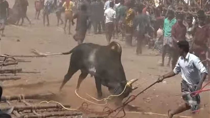 مصرع شخص وإصابة 29