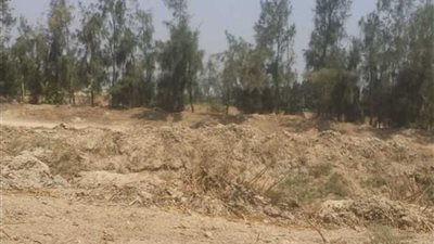 لجنة استرداد الأراضي تؤكد عدم المغالاة في التسعير