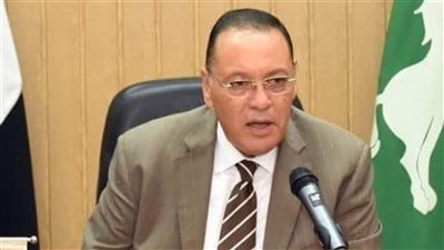 محافظ الشرقية يوضح موقف السلع الأساسية