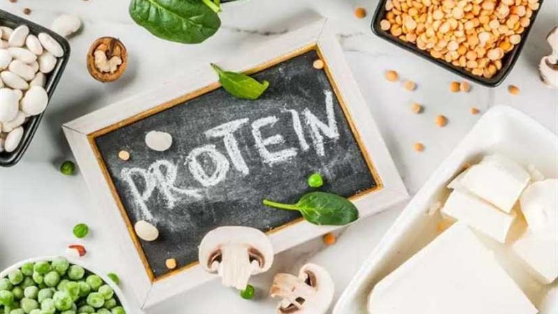 دراسة: تناول البروتين