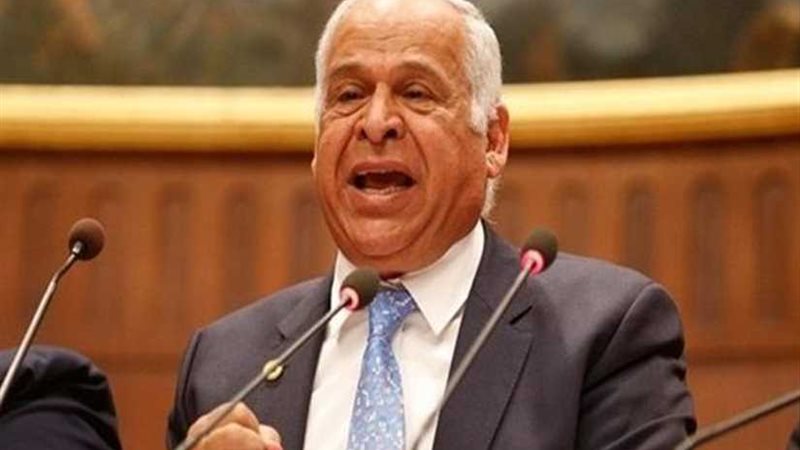 عامر: حكم القضاء