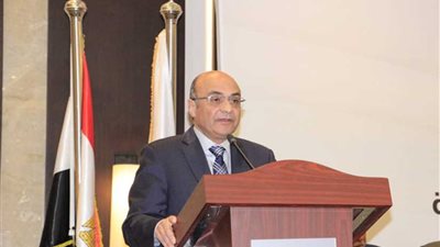 وزير العدل: صدر توجيه من الرئيس السيسي بوضع حلول جذرية لتعويض أهل النوبة