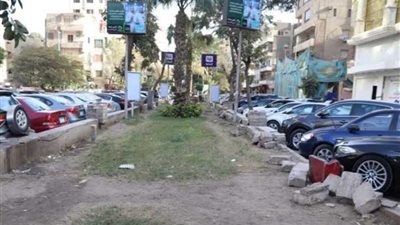 الجيزة تنفي شائعات إزالة الأشجار والجزيرة الوسطى بـ