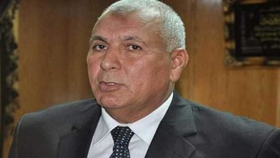 الوادي الجديد تستعد تحسبًا للتقلبات الجوية