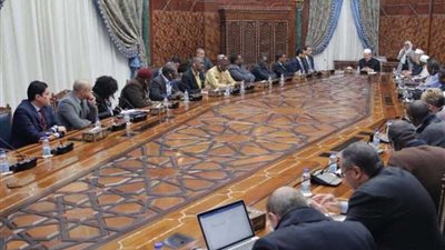 شيخ الأزهر يدعو إلى تنسيق إعلامي أفريقي