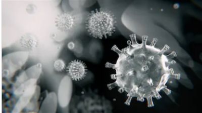 مفاجأة..دراسة: 