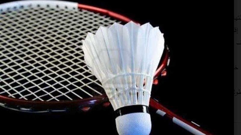 الريشة الطائرة في