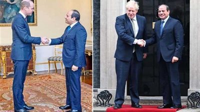 الرئيس السيسي يعرب عن سعادته بلقاء نجل ولى العهد ورئيس الوزراء البريطاني