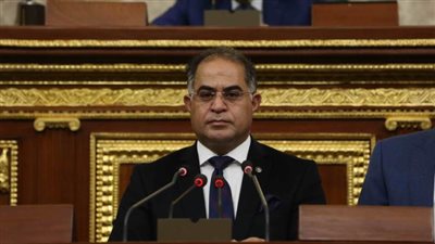 وكيل النواب يُطالب الحكومة بسرعة تنفيذ مبادرة السيسي 