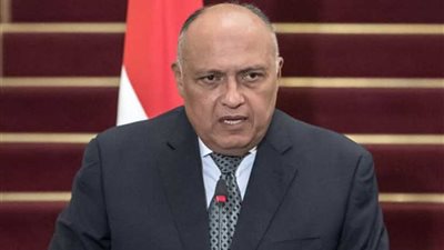 سامح شكري يصل إلى الجزائر لحضور اجتماع دول الجوار الليبي