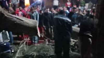 إصابة ٧ أشخاص بسبب سقوط شجرة على ميكروباص بـ