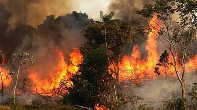 تجدد الحرائق في أستراليا