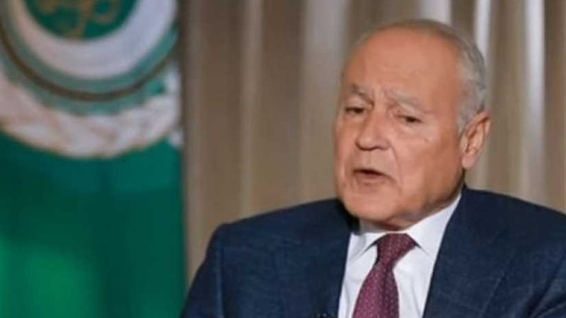 أبو الغيط: التدخلات