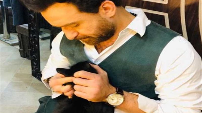 قطة نضال الشافعي