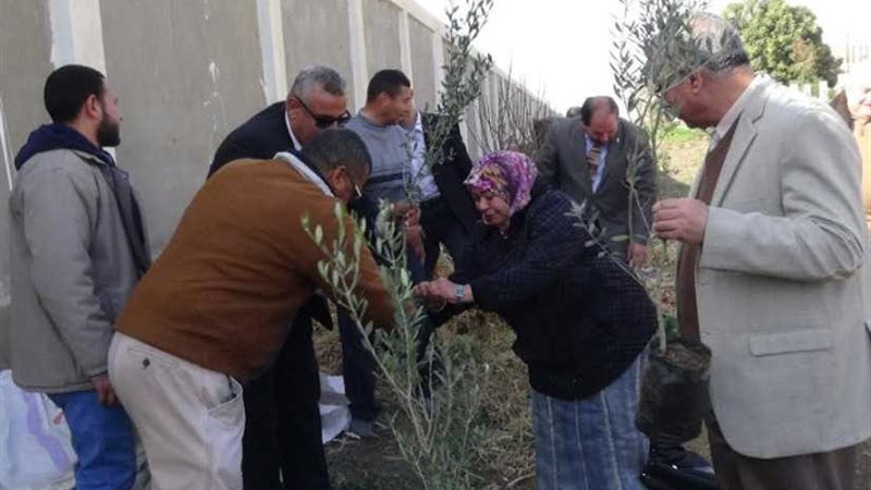 جامعة المنيا تُشارك