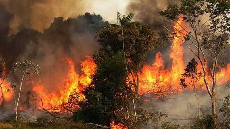 تجدد الحرائق في أستراليا