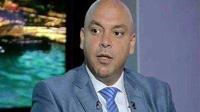 عضو تنسيقية شباب الأحزاب: الإعلام سيكون له دور مؤثر ورئيسي في التوعية بالأمن غير التقليدي