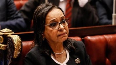 برلمانية: ”كورونا” أكد حتمية زيادة موازنة الصحة والبحث العلمي في العام المالي الجديد