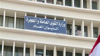 القوى العاملة