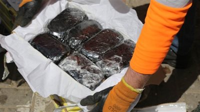  إحباط تهريب 1636 طربة حشيش