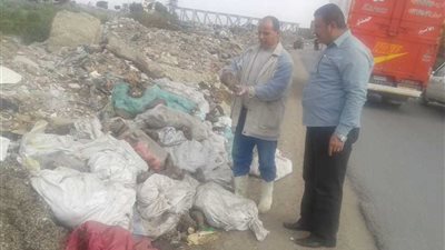 إعدام رؤوس أغنام ملقاة بالطريق العام في الخانكة