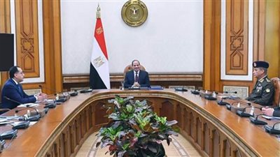 الرئيس السيسي يتابع جهود مكافحة 