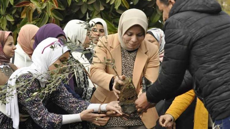 اتحضر للأخضر.. احتفالية