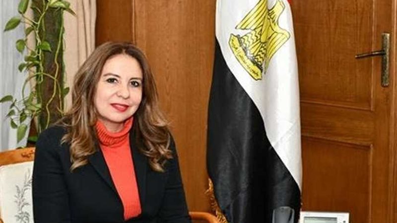 نائبة وزير الاتصالات: