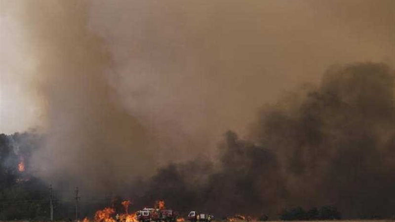 ارتفاع تاريخي بثاني