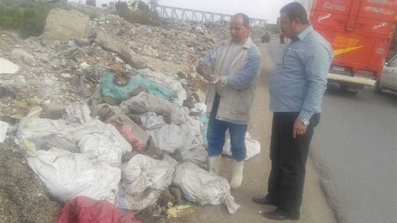 إعدام رؤوس أغنام