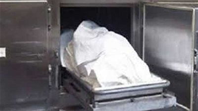 جريمة بشعة.. ربة منزل تلقى بطفلتيها ونفسها من الطابق الرابع